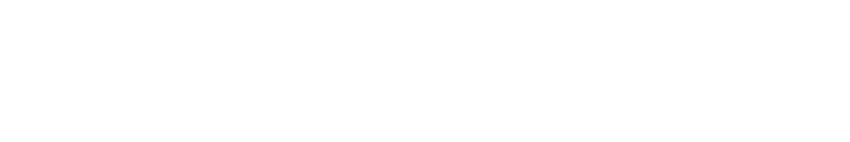 Denago EV